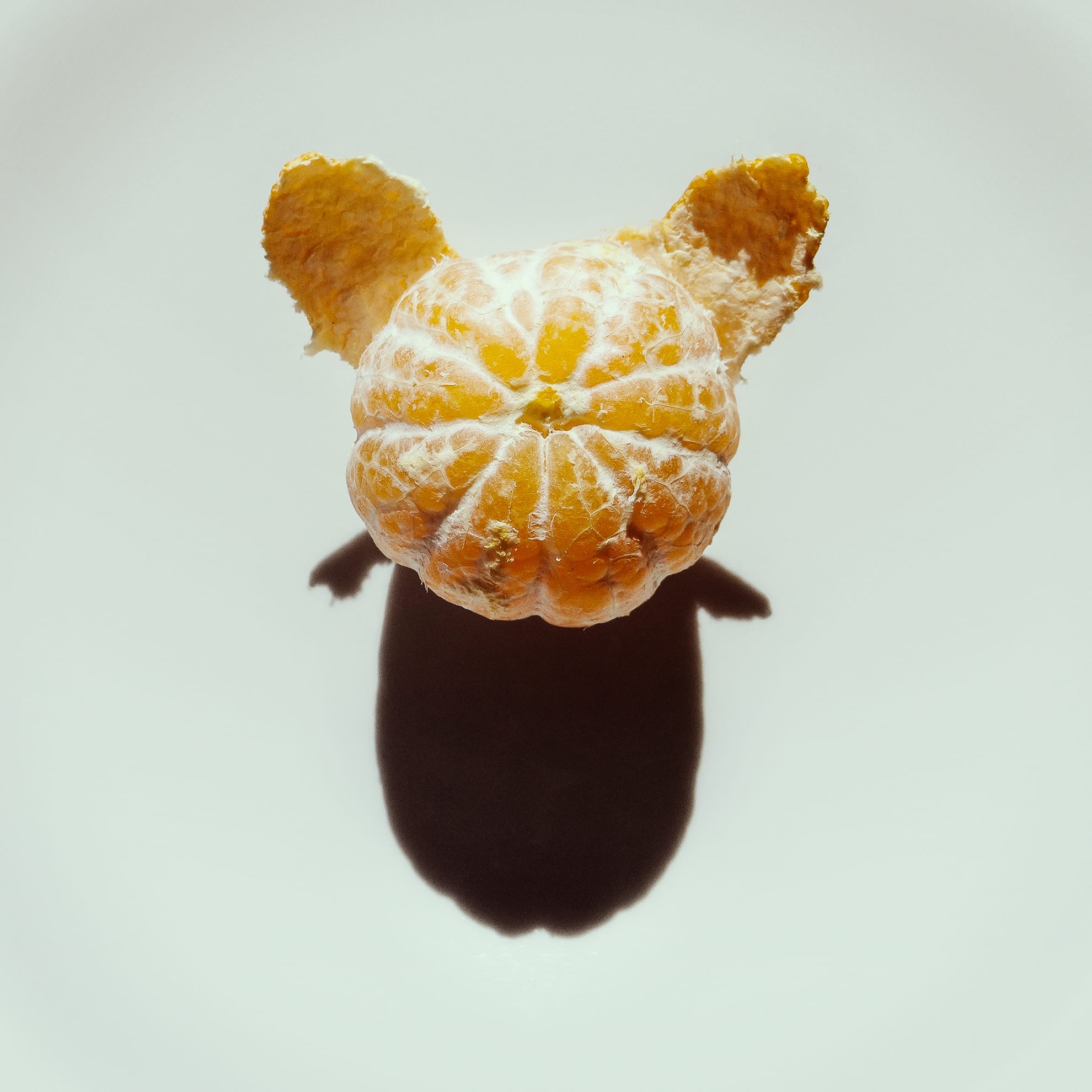 A peeled clementine with two sections of its peel left on either side, resembling ears, sits centered on a white plate. The lighting casts a shadow below the clementine, creating the appearance of a character with small ears.