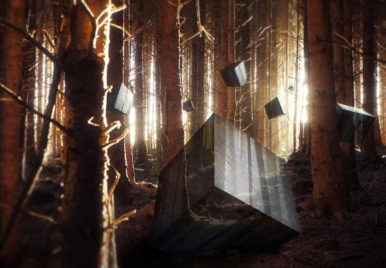 A dense forest with tall, straight trees. The sunlight filters through, creating a mystical atmosphere. Several large, stone-like cubes, some levitating, are scattered among the trees, casting long shadows on the forest floor. The scene has a surreal quality reminiscent of Cube Awakening's adventure-filled puzzles.