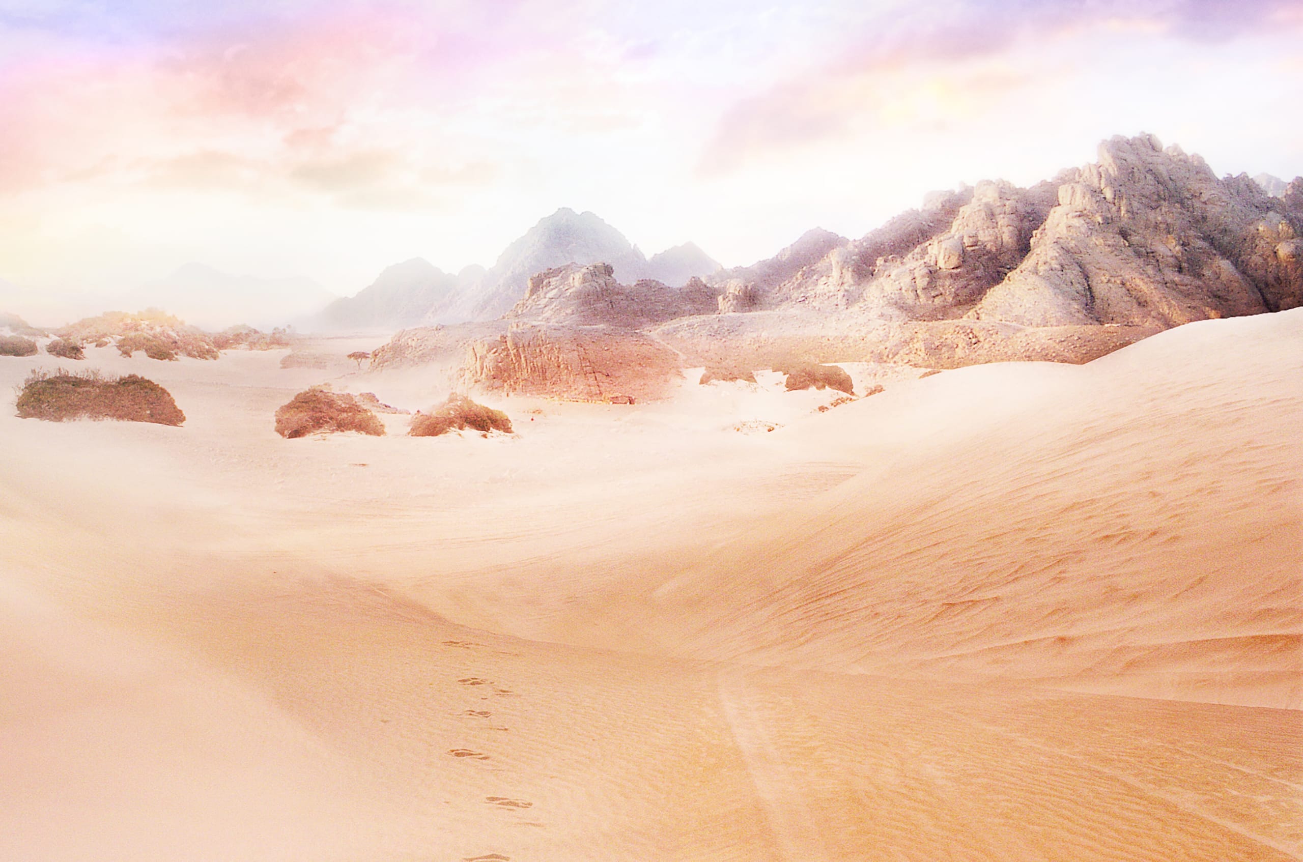 A desert landscape bathed in soft sunlight features expansive sand dunes with scattered vegetation. Rocky hills rise in the background under a pastel-colored sky, which transitions from blue to shades of pink and yellow. Faint footprints lead toward the hills, adding to the serene atmosphere intensified by the desert heat.
