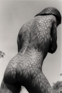 A black-and-white image of a nude person with intricate leaf patterns of light and shadow cast on their back and arms. The subject is facing away from the camera under bright sunlight, creating a dramatic contrast that highlights the natural textures on their skin.