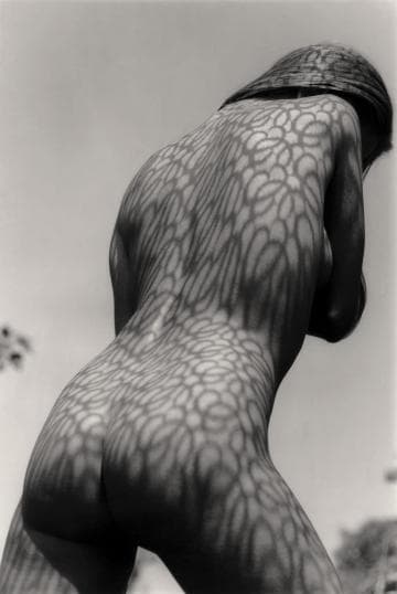 A black-and-white image of a nude person with intricate leaf patterns of light and shadow cast on their back and arms. The subject is facing away from the camera under bright sunlight, creating a dramatic contrast that highlights the natural textures on their skin.