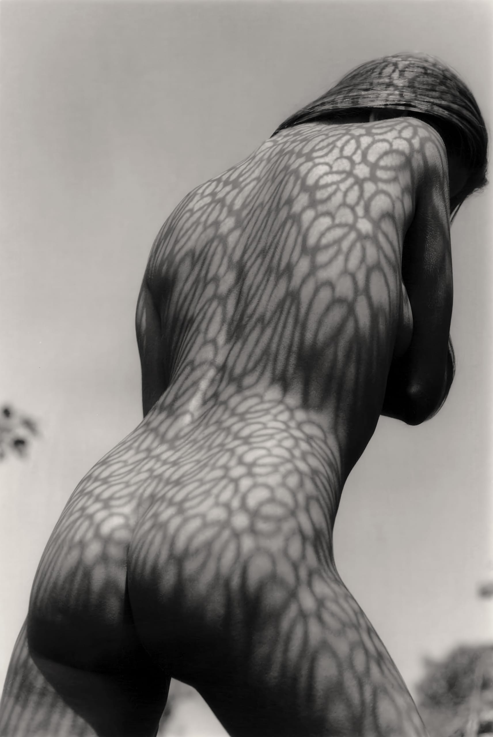 A black-and-white image of a nude person with intricate leaf patterns of light and shadow cast on their back and arms. The subject is facing away from the camera under bright sunlight, creating a dramatic contrast that highlights the natural textures on their skin.