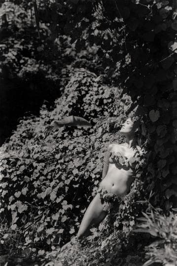 A black and white photo of a nude person standing amidst dense foliage. Their body is partially covered by large, leafy vines. Sunlight filters through, casting dappled shadows on their skin. The person appears relaxed, with eyes closed, blending into the natural surroundings.