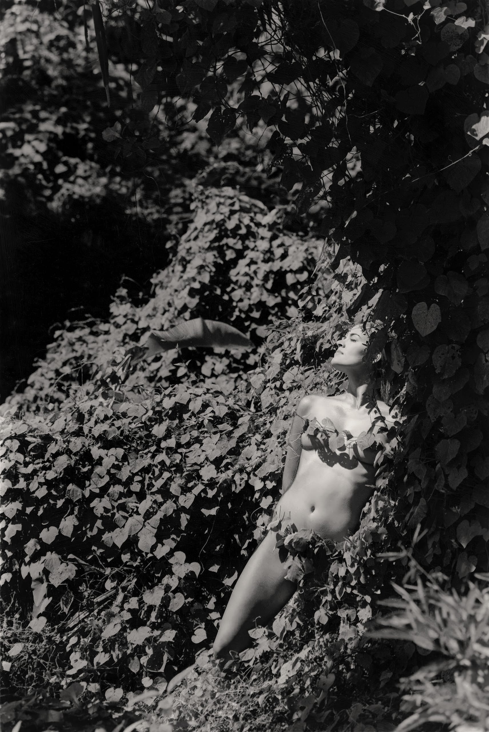 A black and white photo of a nude person standing amidst dense foliage. Their body is partially covered by large, leafy vines. Sunlight filters through, casting dappled shadows on their skin. The person appears relaxed, with eyes closed, blending into the natural surroundings.