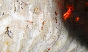 Close-up of a textured, off-white cave wall with various formations. Bright orange-red spots illuminate parts of the surface, creating a warm glow. Small, circular formations and uneven, rough textures are visible, adding to the natural complexity of the scene. Shadows accentuate the depth.