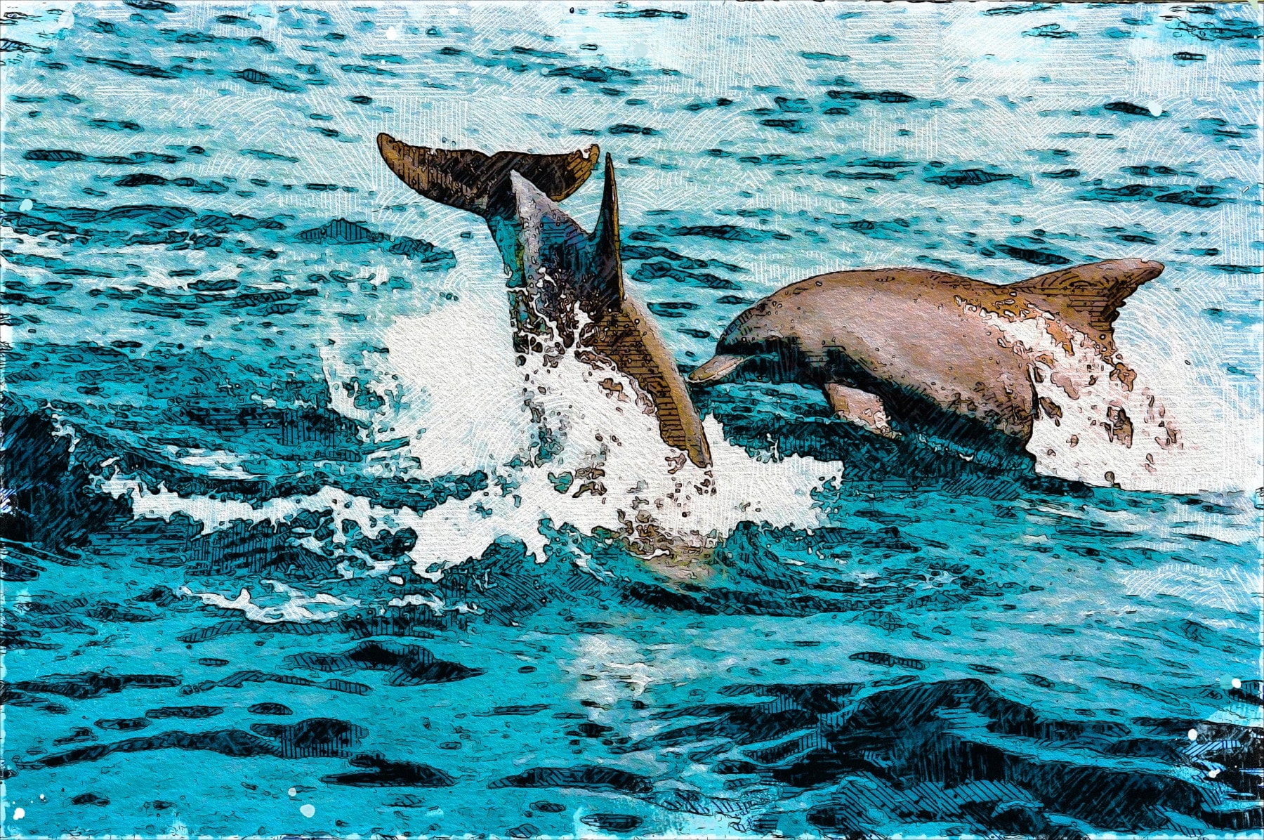 Illustration of two dolphins in blue ocean water, captured mid-leap. One dolphin's tail is visible, splashing water, while the other is partially submerged. The scene is dynamic, with textured water effects enhancing the sense of movement and vitality.