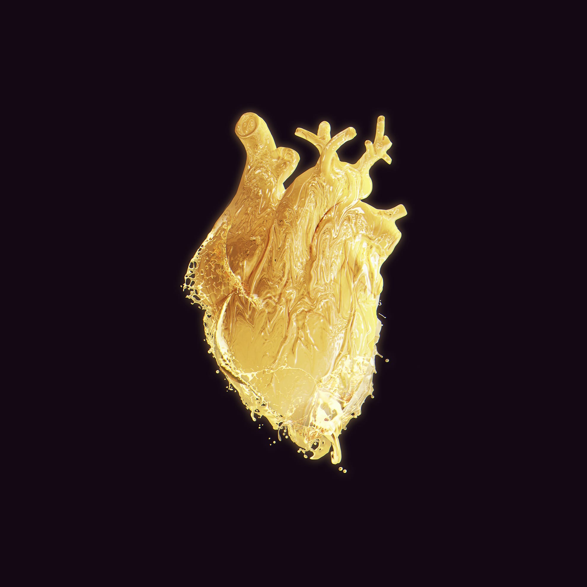 A detailed illustration of a human heart of gold, coated in a shiny, golden substance. The heart is depicted with realistic anatomical features, including blood vessels and chambers, and appears to be dripping with liquid gold. The background is deep black, making the golden heart stand out vividly.