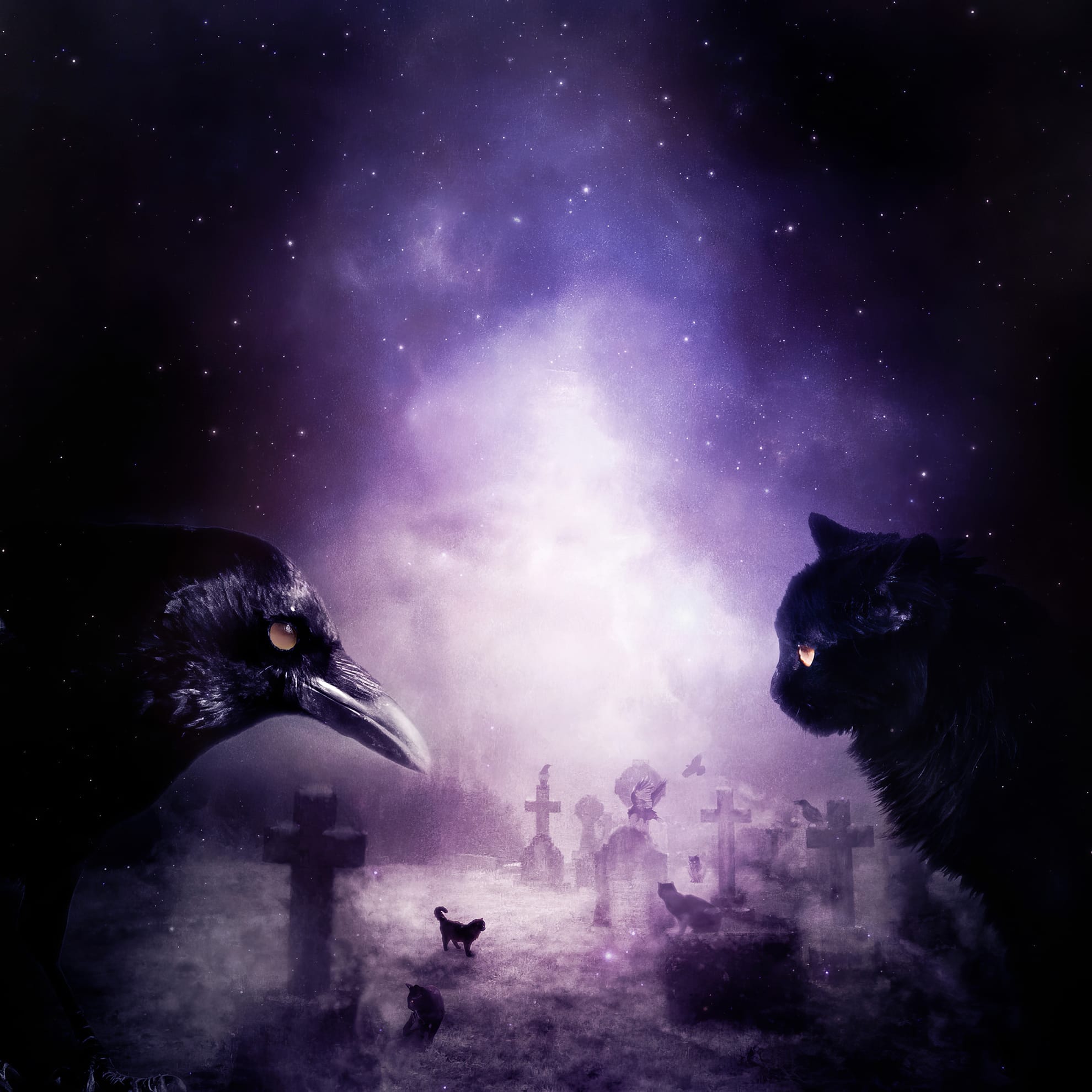 A black raven and a black cat face each other in a misty graveyard under a starry night sky. Silhouetted crosses are visible in the background, shrouded in fog. A mystical purple glow illuminates the scene, creating an eerie, atmospheric effect.
