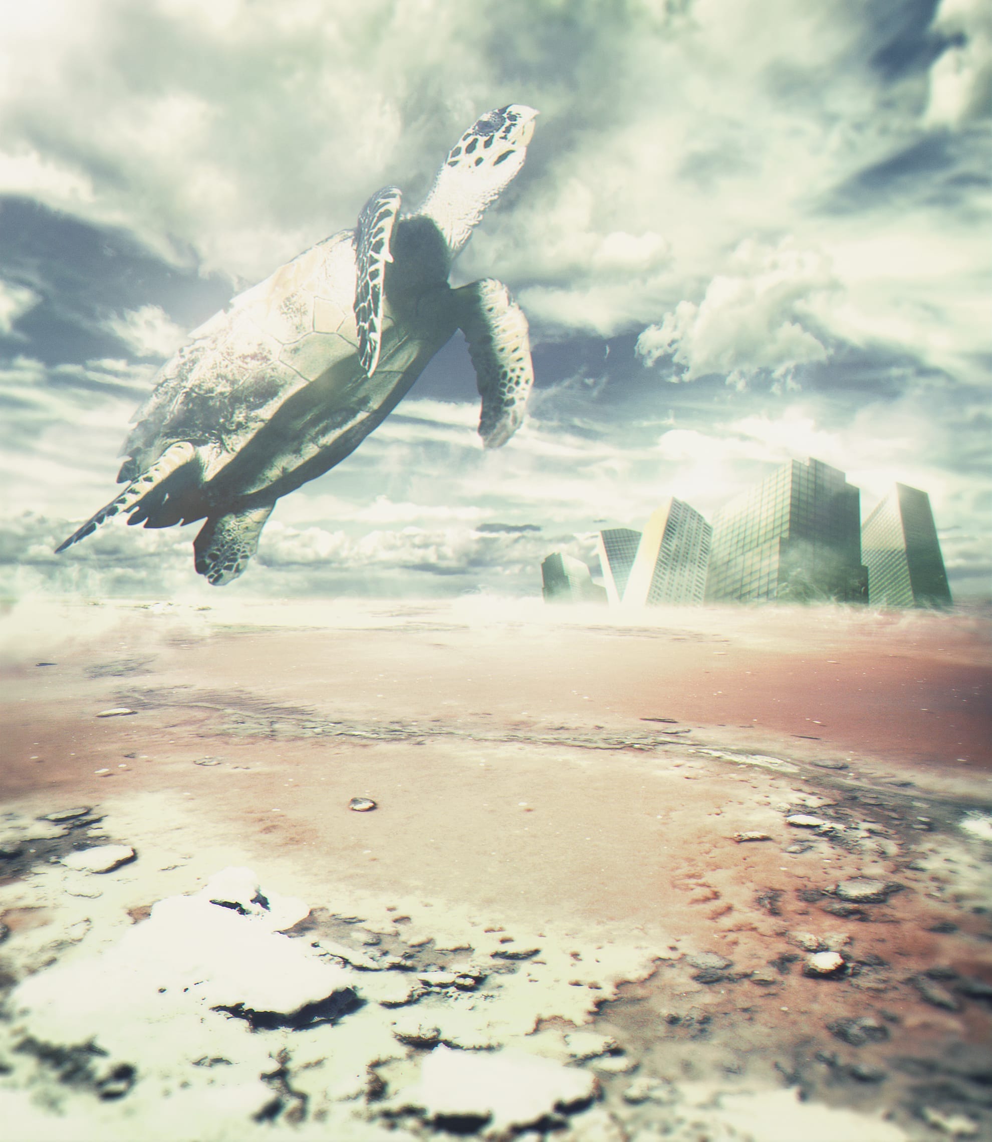 A large sea turtle flies above a surreal landscape with cracked ground and a dry, reddish surface. Modern glass buildings rise in the background under a dramatic, cloudy sky. The scene combines natural and urban elements, evoking a sense of fantasy and otherworldliness.
