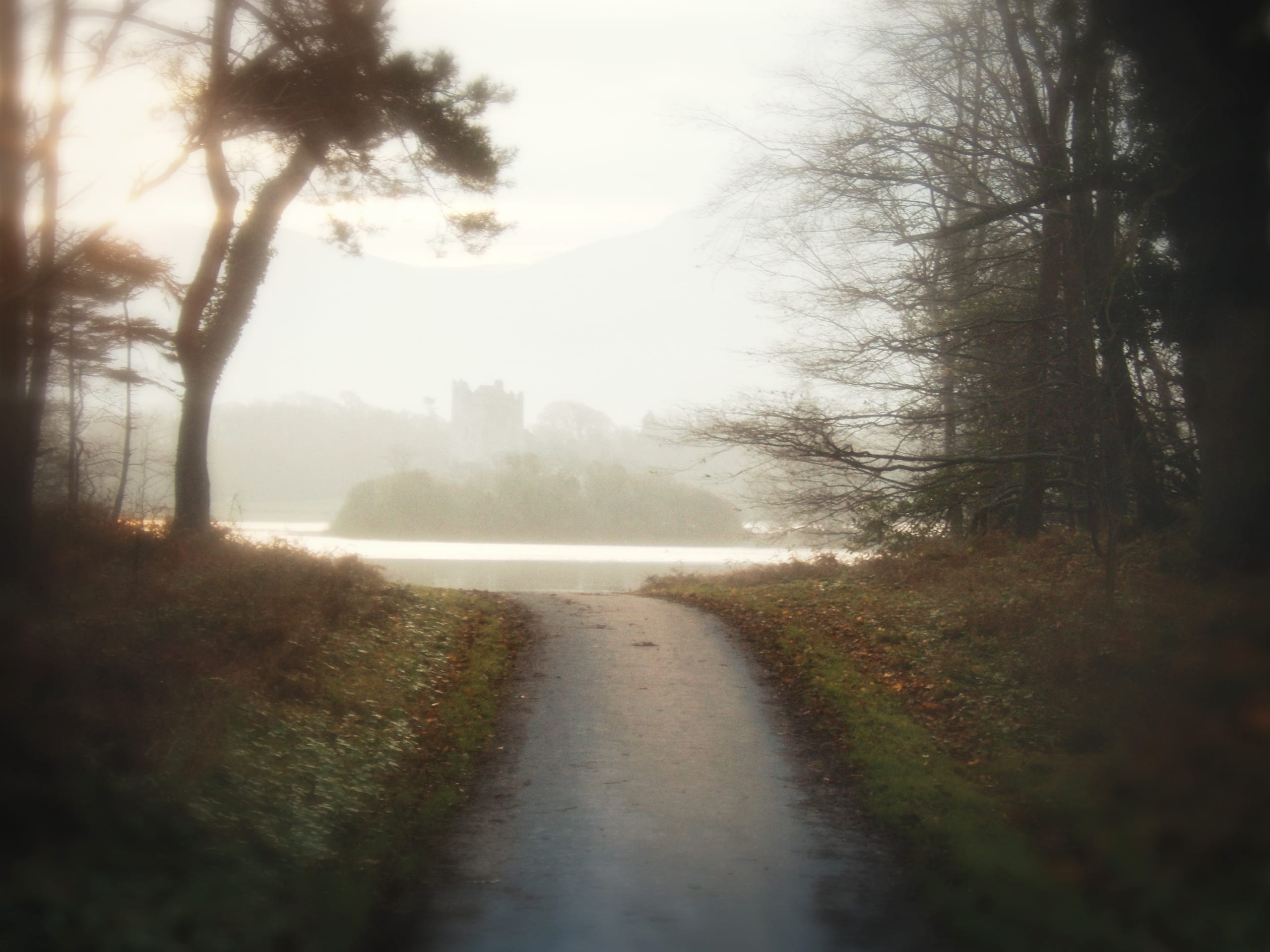 A misty, narrow path bordered by bare trees leads to a distant, hazy castle in Ireland. Soft sunlight filters through the trees, casting a serene glow. The castle is partially obscured by fog, creating a dreamy, ethereal atmosphere. The overall scene evokes a sense of mystery and tranquility.