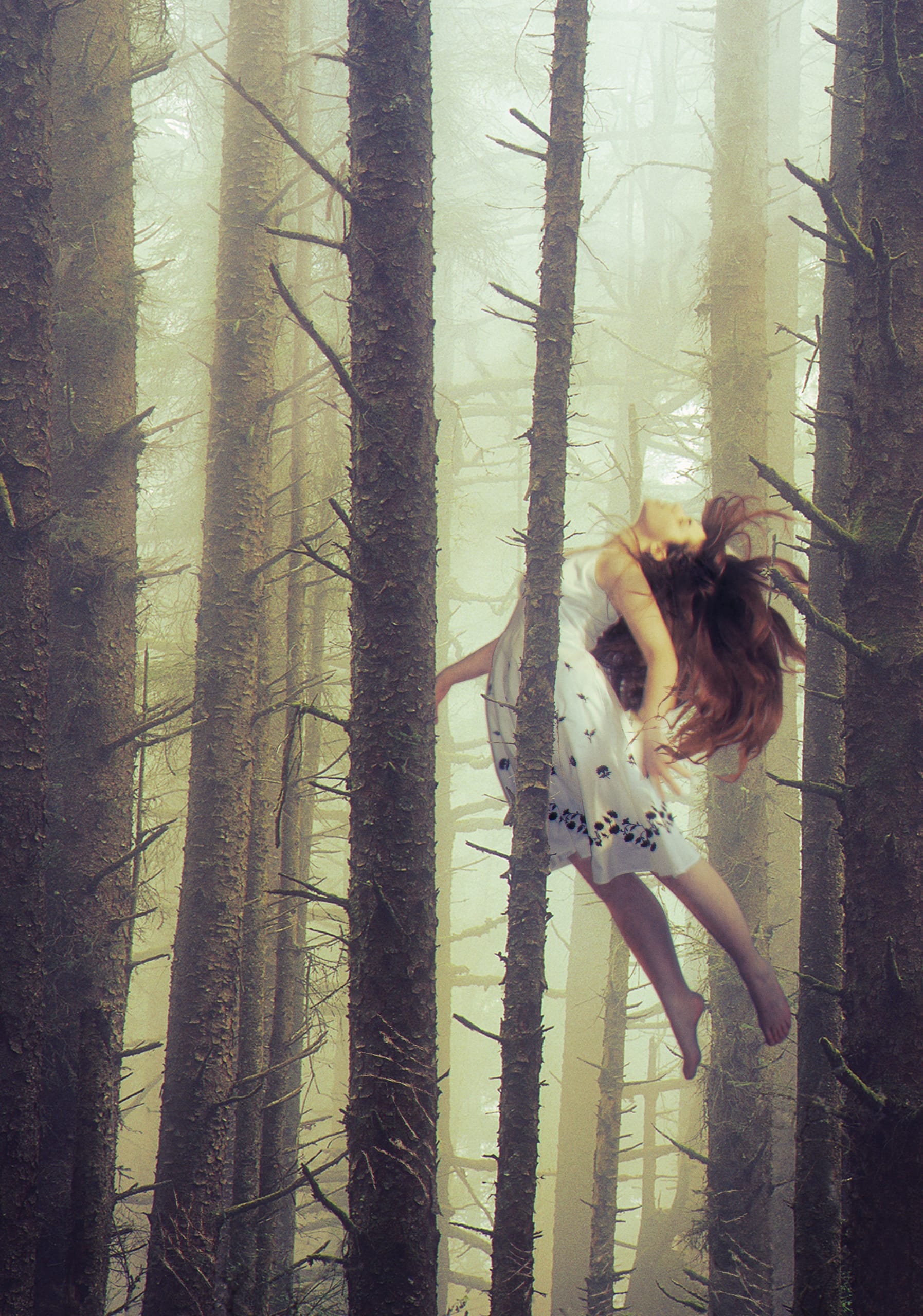 A woman with long brown hair wearing a white dress with black accents appears to be floating or suspended in a misty forest. Tall, slender trees surround her, and the ambiance is ethereal and serene, with soft, diffused light filtering through the trees.