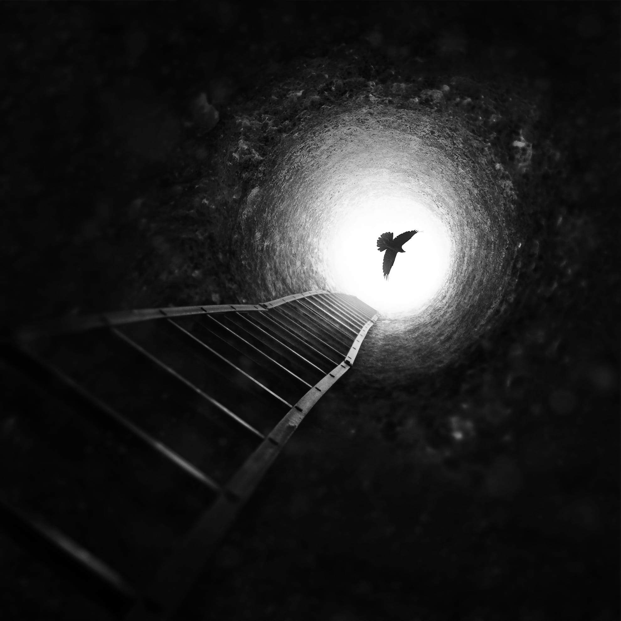 A black-and-white image of a deep well or tunnel, viewed from the bottom looking up. A long ladder leads toward a bright light at the top, where a bird is silhouetted against the illuminated exit. The dark tunnel walls create a dramatic and high-contrast scene, reminiscent of a fantasy novel's quest for light redemption.
