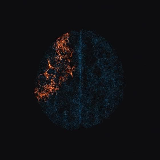 An abstract depiction of a brain seen from above, digitally rendered. The left hemisphere features glowing interconnected lines in orange, highlighting neural network activity. The right hemisphere consists of similar interconnected lines but in blue, with a darker and less active appearance. The background is black.