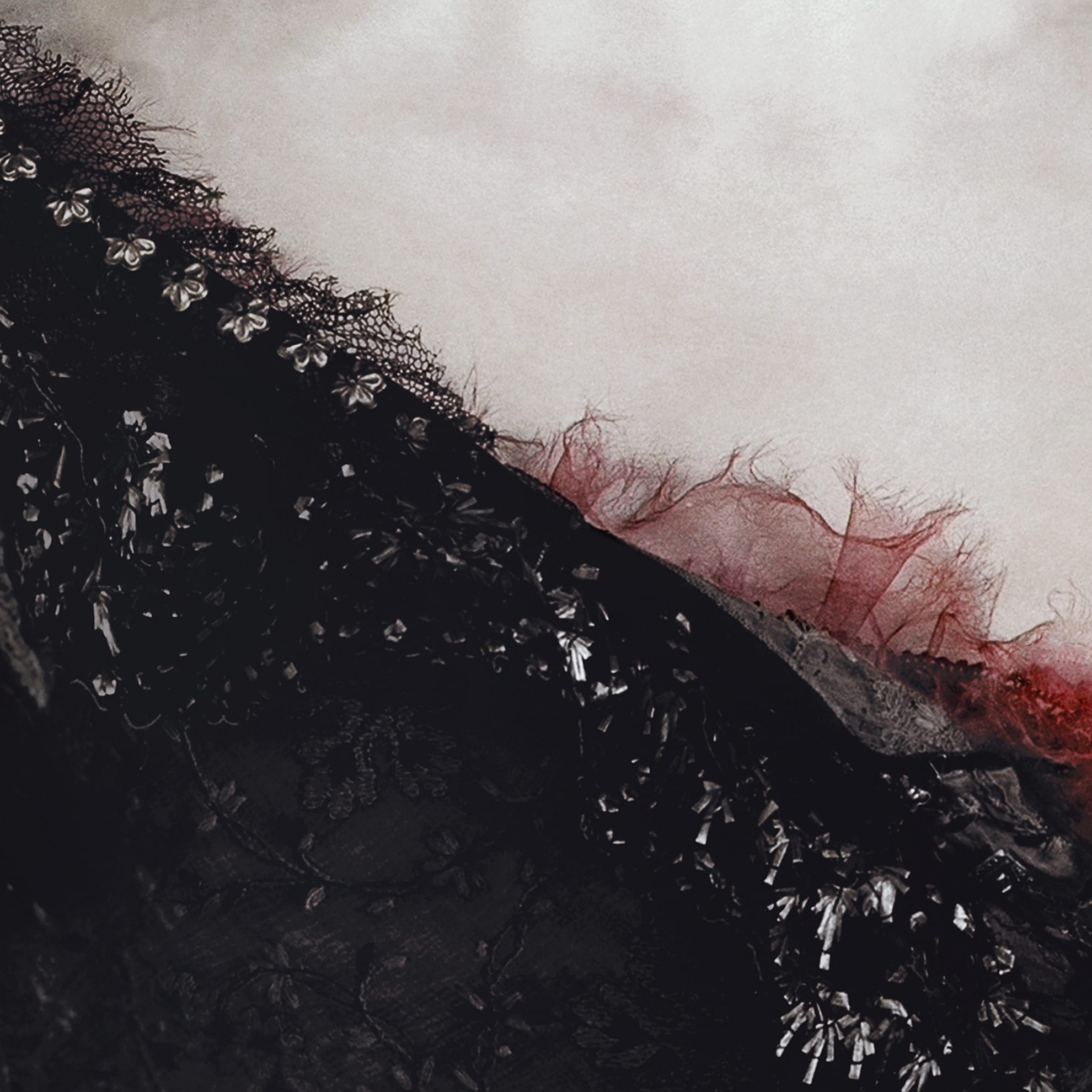 Close-up of an abstract textile piece featuring lace and tulle fabric. The upper part of the image has a light beige background. The bottom left corner shows intricate black lace with tiny flower details, while the right side has frayed red tulle, creating a bold contrast, as if the fabrics themselves are not dead but alive in their dying beauty.