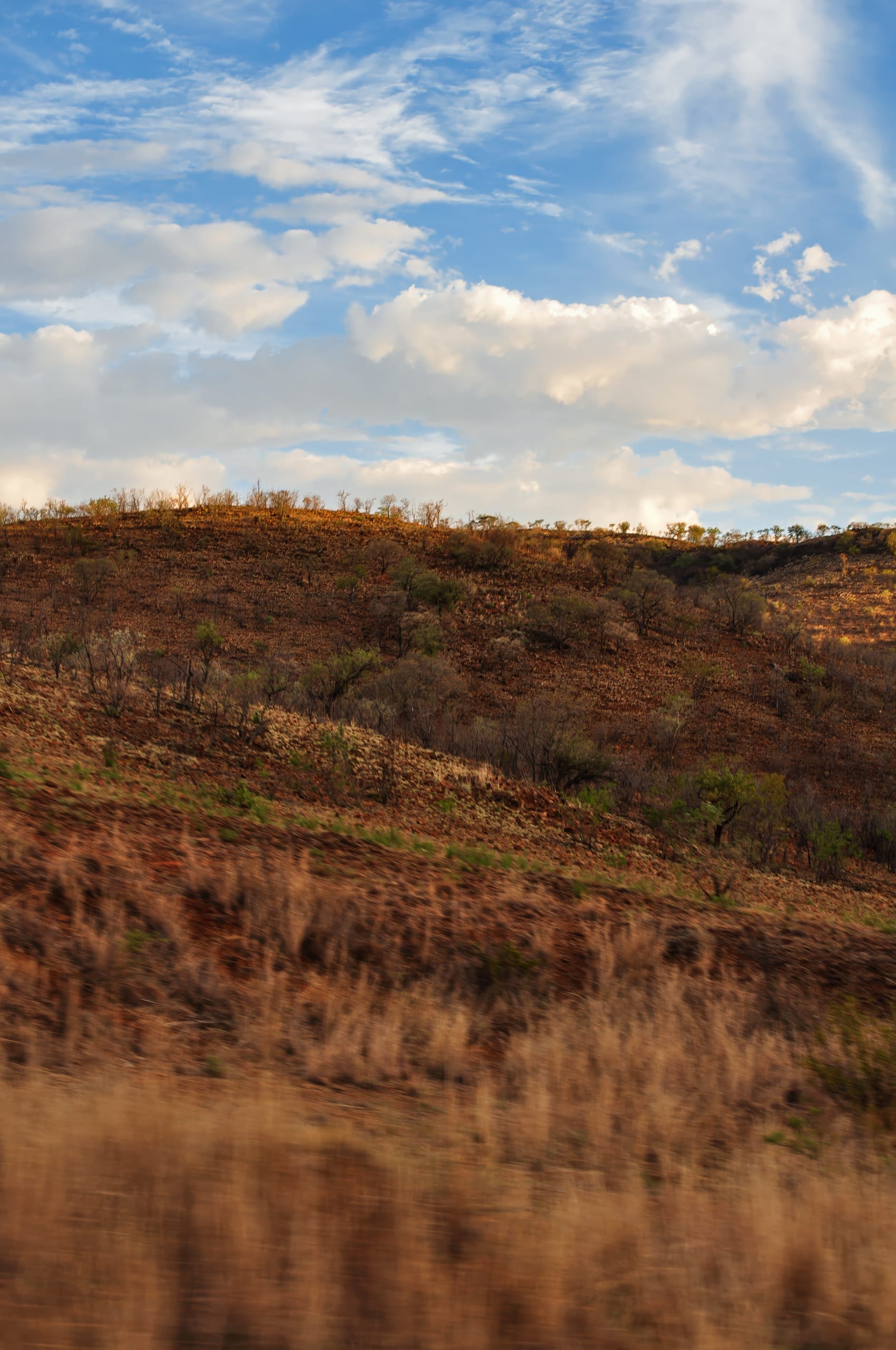 A scenic landscape featuring rolling hills with sparse grasses and bushes. The foreground is blurred, creating a sense of motion. The sky above is filled with white fluffy clouds against a blue backdrop, casting soft light over the terrain, enhancing the autumnal hues of the hills.