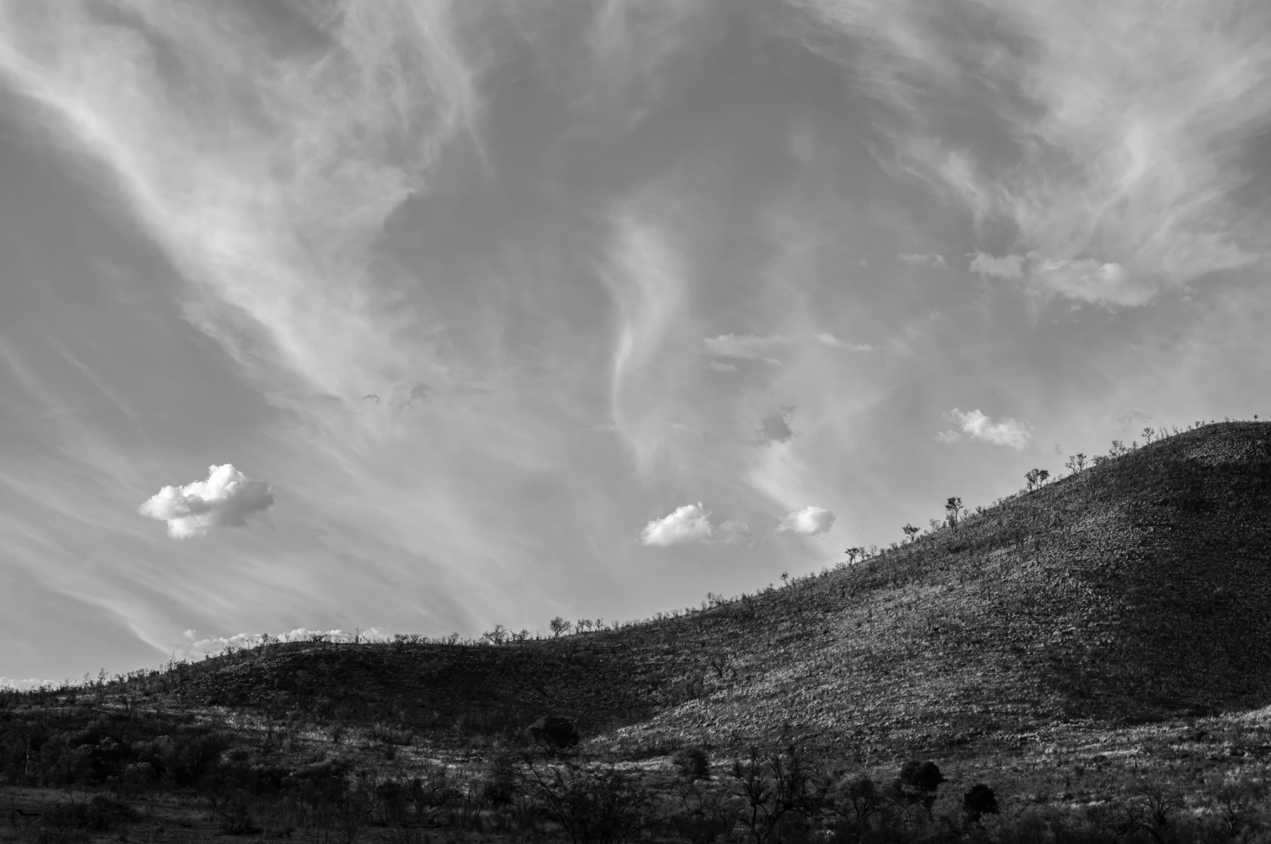 Black and white image of a hilly landscape with sparse vegetation. A few small clouds float above the horizon, and the sky features wispy, feather-like clouds. Sunlight creates gentle shadows on the terrain, enhancing the texture of the rolling hills.
