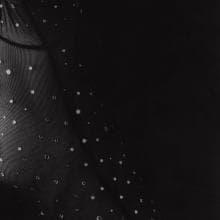 Close-up of black mesh fabric adorned with small, evenly spaced, circular silver dots. The left side of the image is illuminated, highlighting the mesh texture and dots, while the right side fades into darkness, creating a dramatic contrast. Part of the Presence Series 10/10.