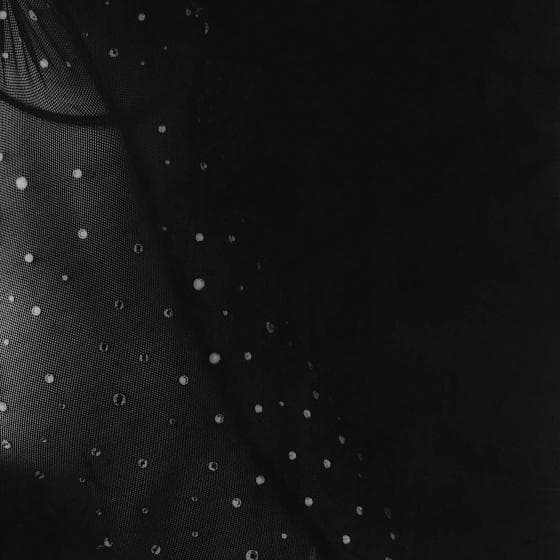 Close-up of black mesh fabric adorned with small, evenly spaced, circular silver dots. The left side of the image is illuminated, highlighting the mesh texture and dots, while the right side fades into darkness, creating a dramatic contrast. Part of the Presence Series 10/10.