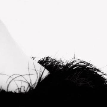 Close-up black and white photograph focusing on the lower portion of a person's face and neck. The individual is wearing a garment adorned with dark, wispy feathers. The background is a plain, light-colored surface, providing stark contrast to the dark feathered attire, part of the Presence Series.
