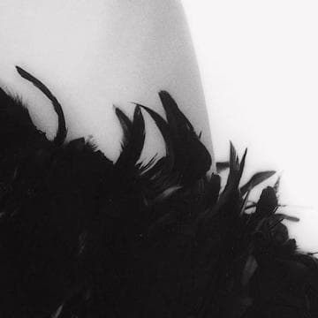 Close-up image showing black feathers against a light background. The feathers appear soft and textured, with slightly curved quills and delicate barbs, creating a striking contrast against the light-colored surface beside them. The Presence of these elements captures raw elegance in every detail.