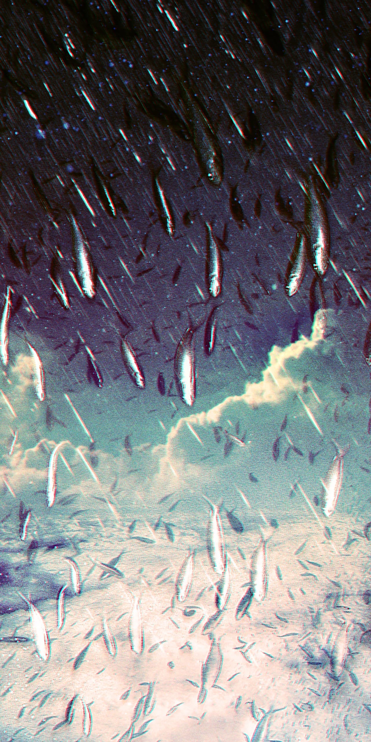 A surreal image depicts fish swimming downward from a starry sky toward the ocean surface. The scene is dreamlike, blending elements of marine life with a night sky. Fish appear ethereal, almost translucent, against a backdrop of dark stars and a glowing, partly cloudy horizon line.