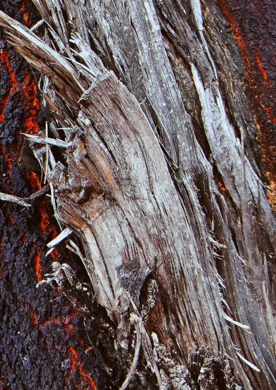Close-up of rugged tree bark with layers of weathered, peeling wood. The bark displays a mix of rich brown and dark burnt hues, with sharp, irregular edges and cracks. Textures range from rough and jagged to smooth strips, creating a visually intricate natural pattern.