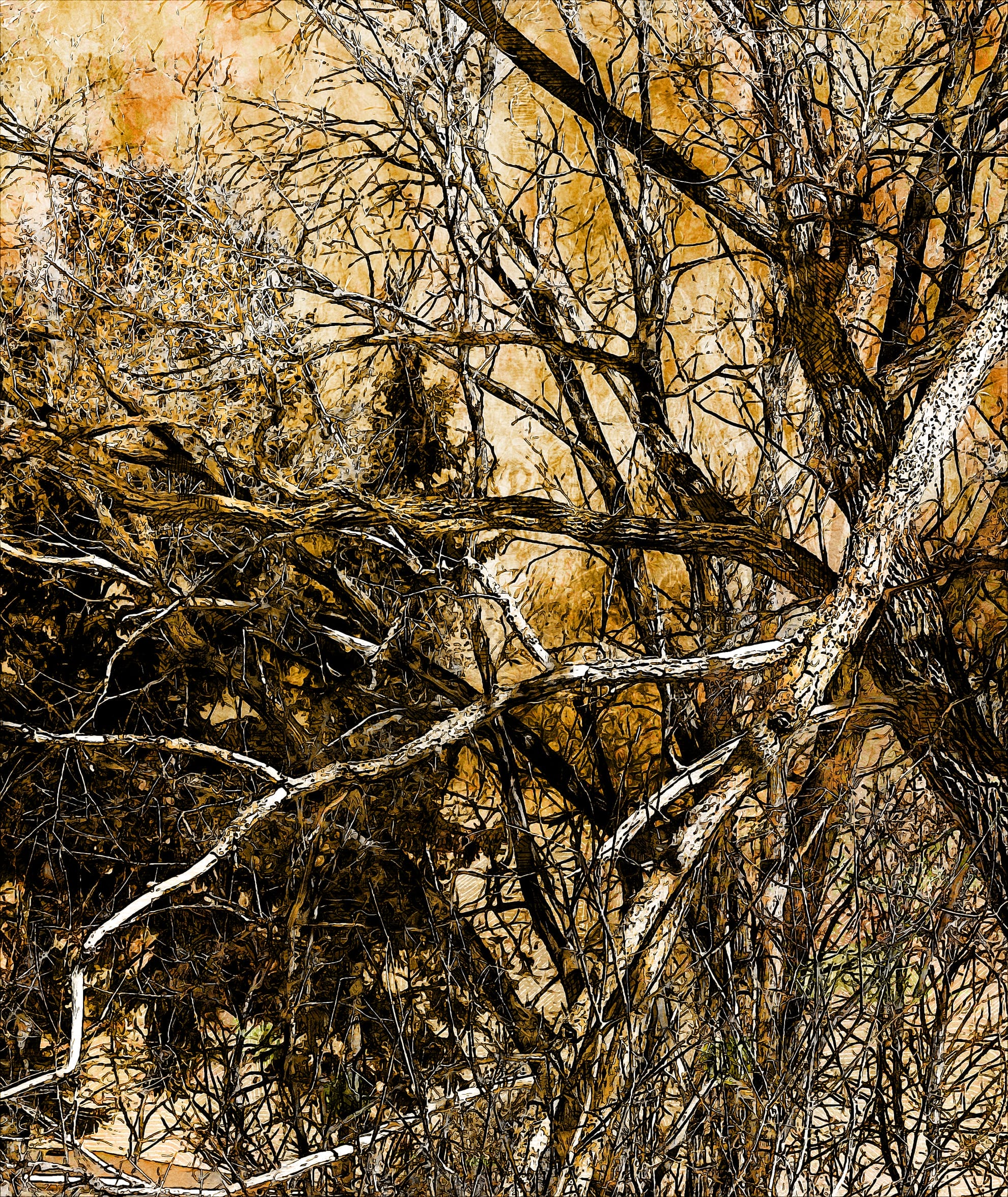 A dense thicket of bare tree branches intertwines against a backdrop of evergreen trees, resembling a Waza Treed creation. The scene is painted in earthy tones of brown and yellow, evoking an autumnal or early winter atmosphere. The intricate network of branches creates a textured and layered visual effect.