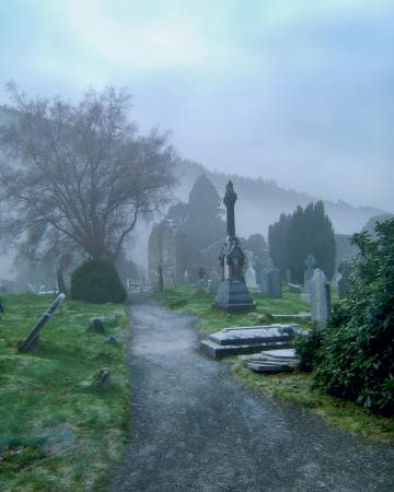 A misty graveyard with weathered tombstones lines a narrow path. A large, bare tree stands to the left, surrounded by damp green grass. Soft fog obscures distant hills and trees, creating a serene, eerie atmosphere. The overcast sky adds to the somber mood of the scene.