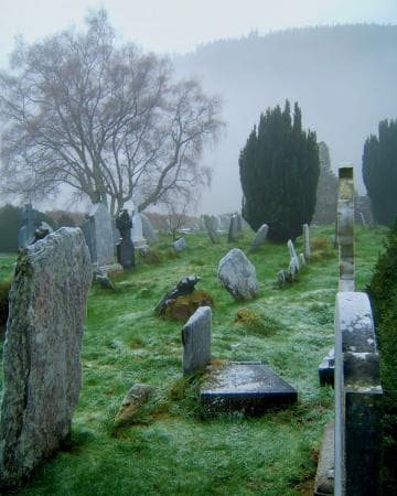 A misty graveyard with scattered, weathered tombstones on frosty grass. A large, leafless tree stands in the background, and evergreen shrubs are visible. The scene feels peaceful and somber, with low-hanging fog obscuring the distant hilly landscape.