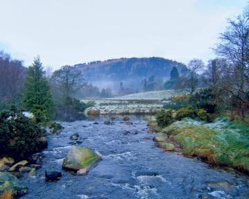 A serene landscape features a gentle river flowing over rocks with light snow on the banks. Evergreen trees and bushes with yellow flowers line the river. A distant hill is partially covered in snow, and a lone tower stands against a foggy sky under soft, muted lighting.