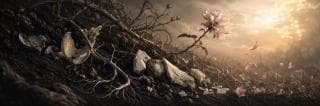 Pink flower grows among bones and rocks, its petals blowing away under a surreal, cloudy sunset sky.