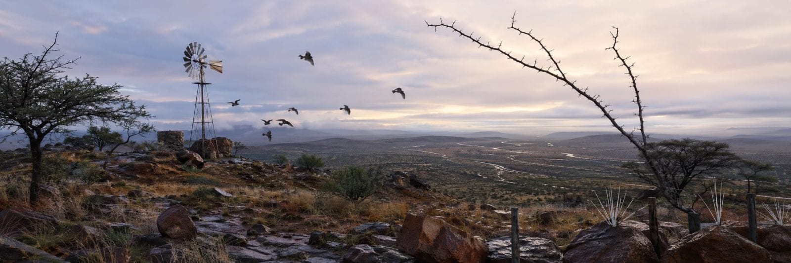 A windmill and birds above a rocky hill overlook rivers and trees, with natural reflection at sunrise or sunset.
