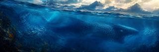 A whale composed of fish swims by underwater mountains, its scales shimmering in a tranquil scene of nature and reflection.