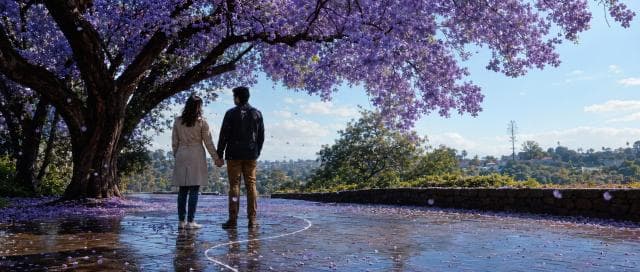 A couple walks hand in hand beneath a jacaranda tree on a wet path, surrounded by nature with a scenic city view in the background.