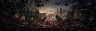 Seven birds perch on a mossy ledge with a red pendant, surrounded by scattered leaves in a garden at sunset.
