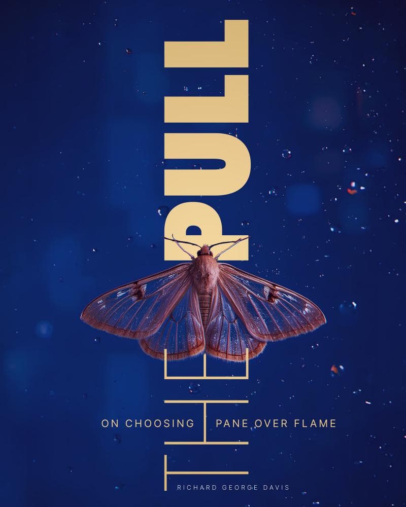 A moth clinging to a cold windowpane beside a softly glowing lamp in a dark room.