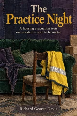 Stitched green sofa, dining chair and yellow volunteer jacket reflect separate strands of Leah’s unfinished home and volunteer life.